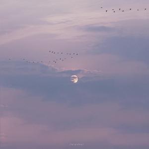 正在播放国产操熟女
